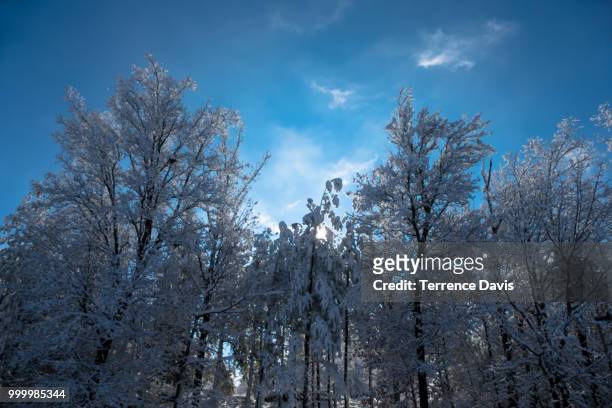 winter wonderland - davis stockfoto's en -beelden