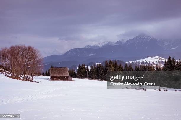 Funbata Image 103 Fundata Stock Photos, High-Res Pictures, and Images - Getty Images