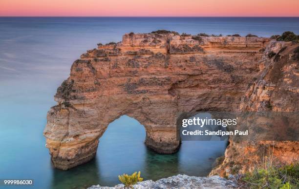 the mammoth of marinha - marinha stockfoto's en -beelden