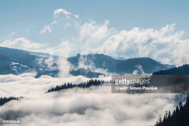 fog ii - ii stock pictures, royalty-free photos & images