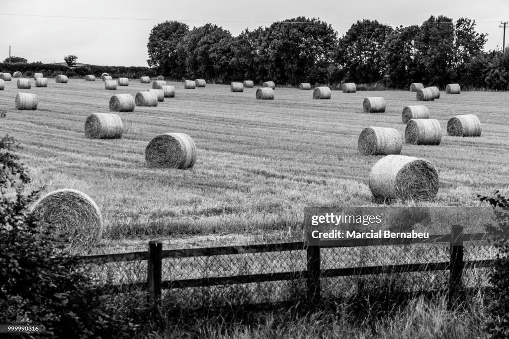 Straw Rolls in Cahir