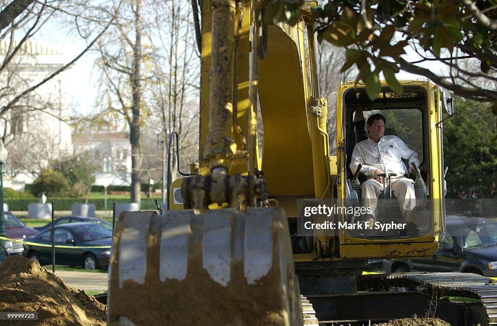 Transplanted Trees