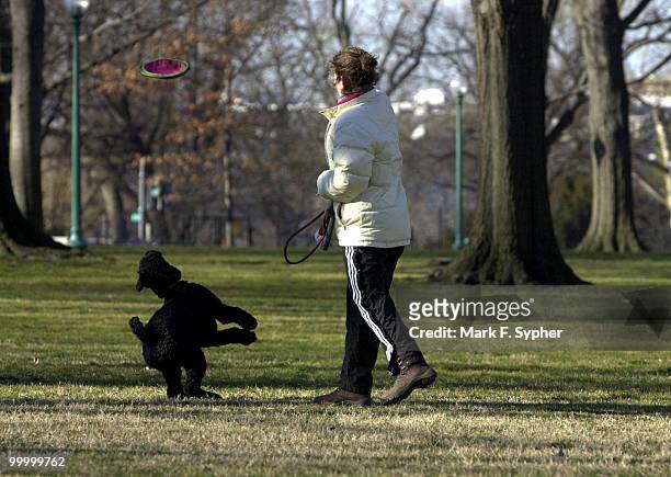 Capitol Hill resident Emily Landau tosses a frisbee to her standard poodle, Jenny, alongside of the Russell Senate Office Building on a chilly...