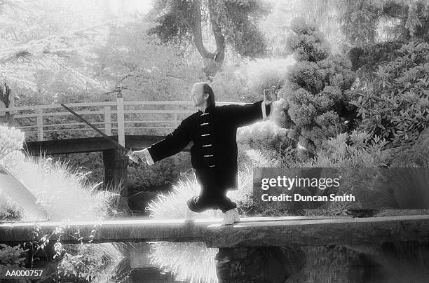 man doing tai chi chuan on a bridge - tai stock pictures, royalty-free photos & images