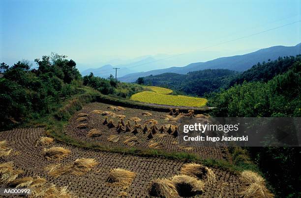 Nor Cinti Province Photos and Premium High Res Pictures Getty Images