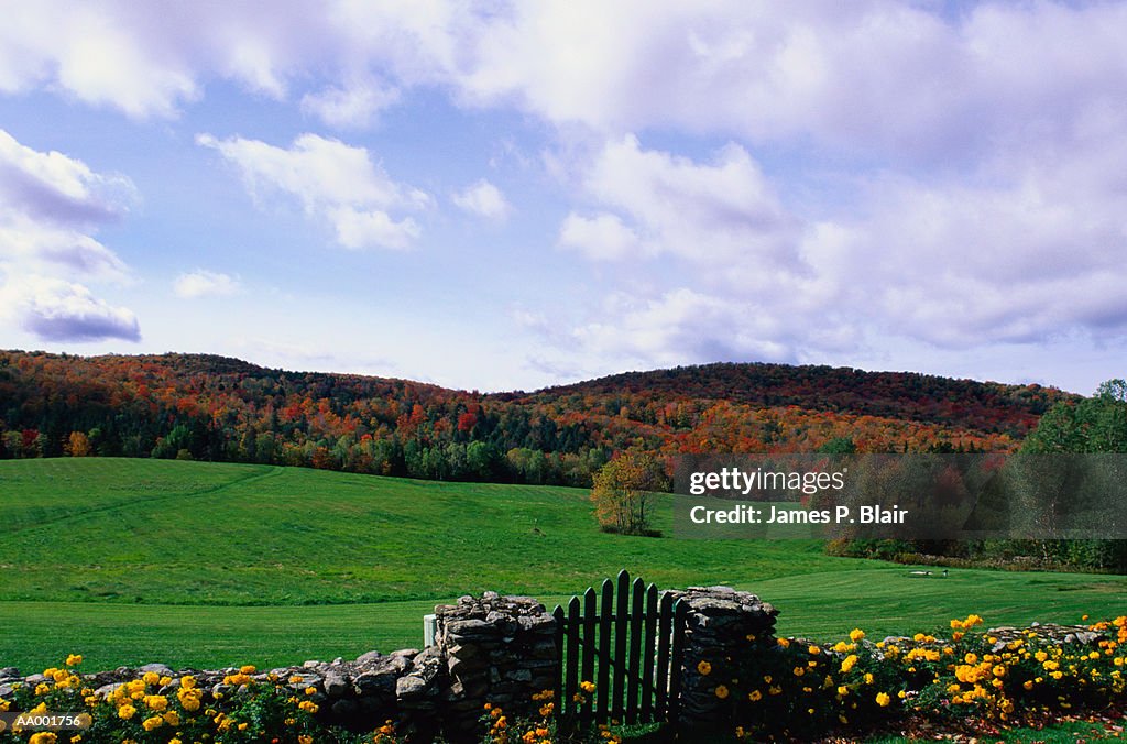 Pasture Beyond a Stone Fence