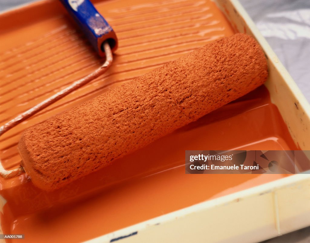 Close-up of a Paint Roller in a Paint Tray