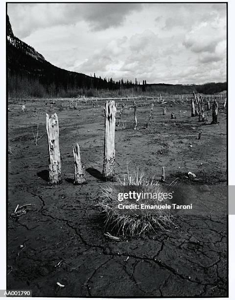 lake minnewanka mud flats - mud imagens e fotografias de stock