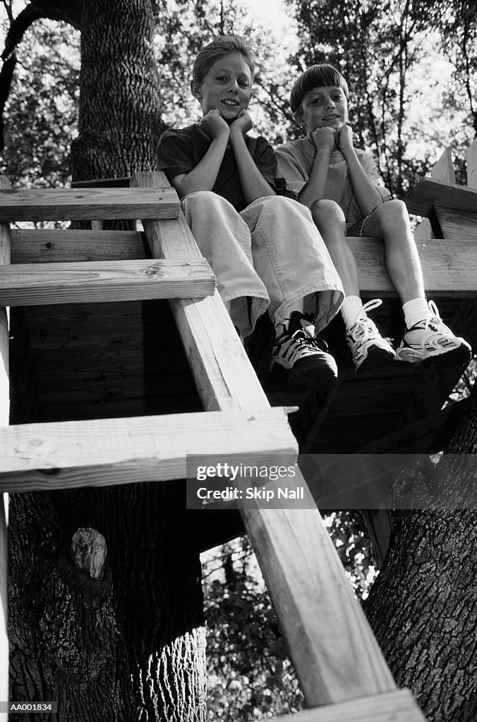 Portrait of Two Boys Sitting in a Tree House