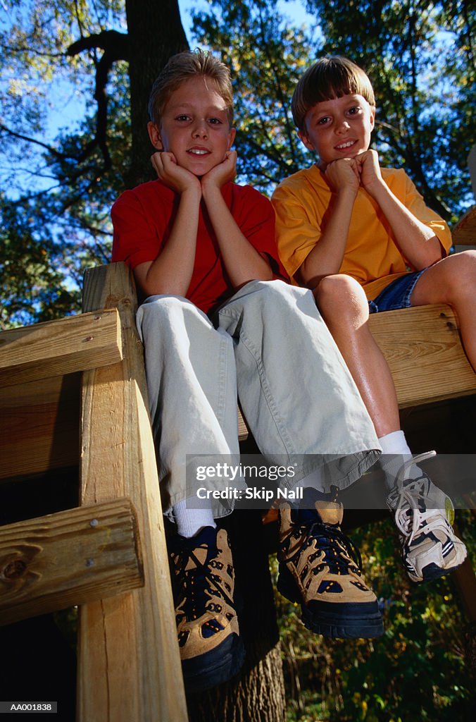 Portrait of Two Boys in a Tree House