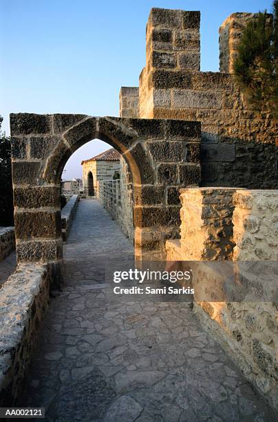 san jorge castello in lisbon, portugal - baixa stock pictures, royalty-free photos & images