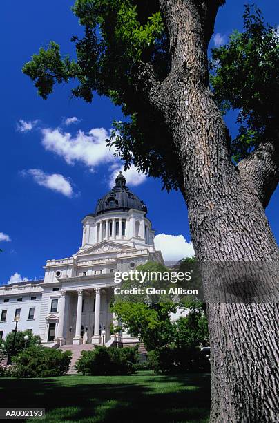 state capitol building in pierre, south dakota - south dakota 個照片及圖片檔