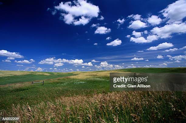 usa, south dakota, fort pierre national grassland - south dakota 個照片及圖片檔