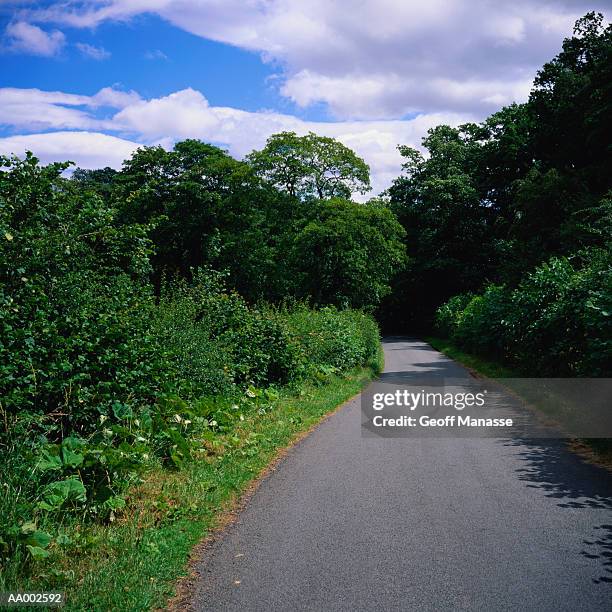 road through trees - john george lambton 1st earl of durham stockfoto's en -beelden