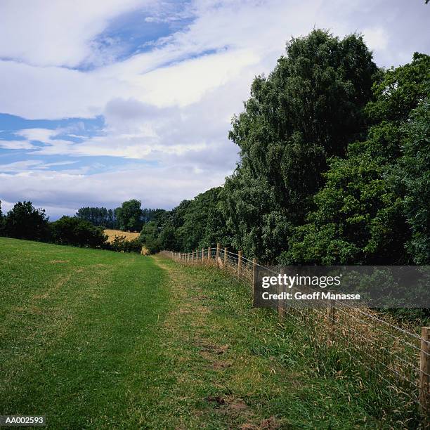 field and trees - john george lambton 1st earl of durham stockfoto's en -beelden