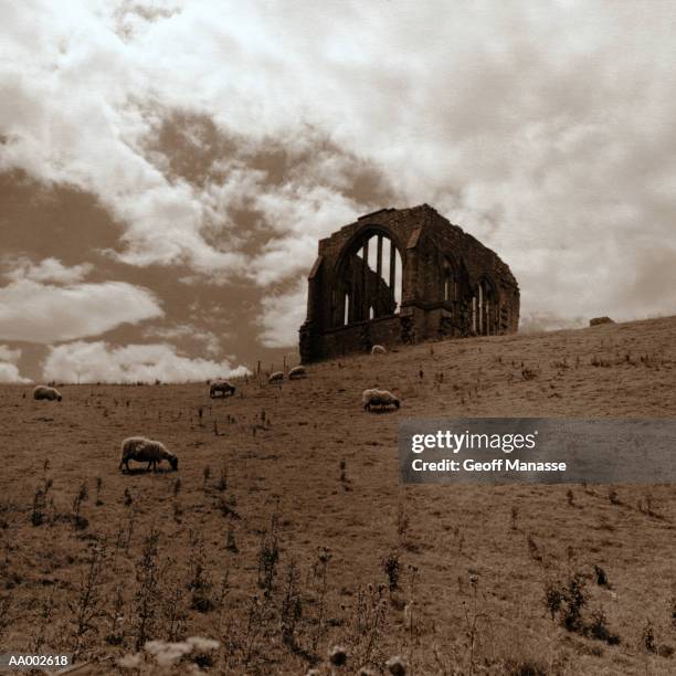 egglestone abbey in durham, england - john george lambton 1st earl of durham stockfoto's en -beelden