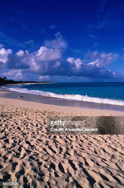 beach on st. martin in the caribbean - amanda martin stock-fotos und bilder