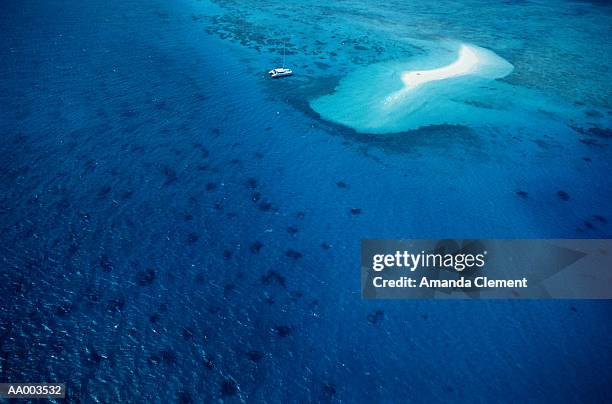 great barrier reef in australia - barrier imagens e fotografias de stock