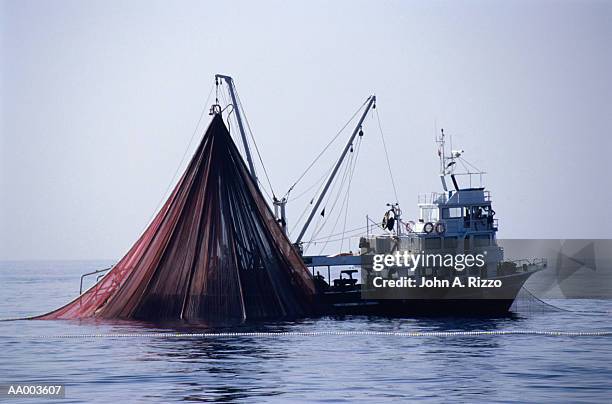 Tuna Fishing Boat Raising Its Fishing Net High-Res Stock Photo - Getty  Images