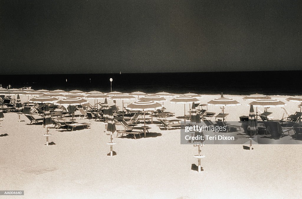 Beach Umbrellas and Beach Chairs on a Beach