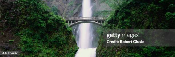 multnomah falls on the columbia river gorge - columbia falls stock pictures, royalty-free photos & images