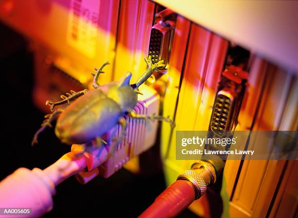 1,607 Bug (Computing) Stock Photos, High-Res Pictures, and Images ...