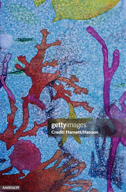 collage of red and purple seaweed - purple starfish stock illustrations