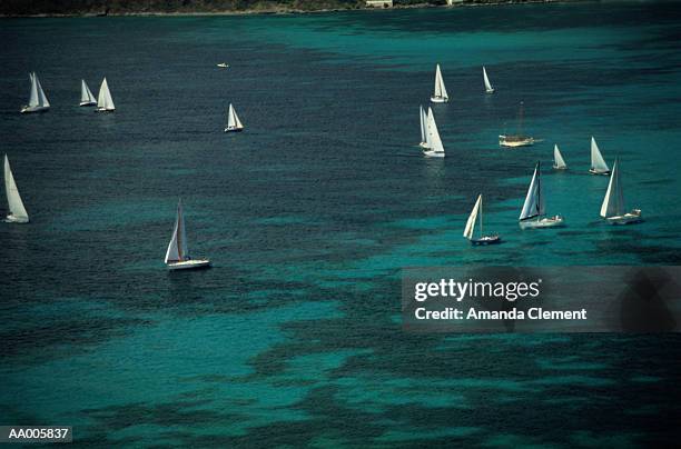 yacht race in st. martin - amanda martin stock-fotos und bilder