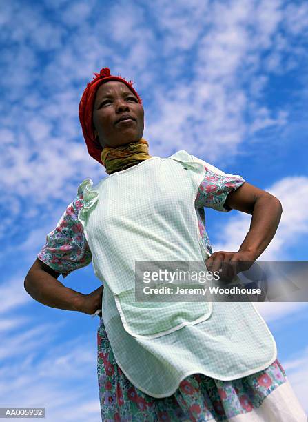 local woman in south africa - noorderlijke kaapprovincie stockfoto's en -beelden