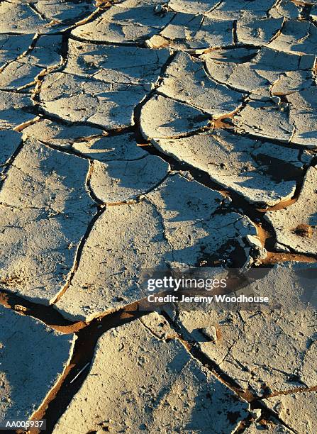 Bumpy Earth 329 Lumps Of Earth Stock Photos, High-Res Pictures, and Images - Getty ...