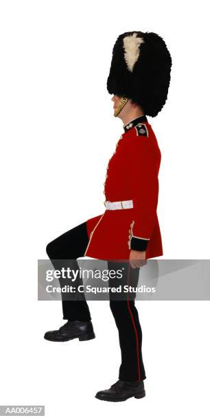 profile of a welsh grenadier guard - björnskinnsmössa bildbanksfoton och bilder