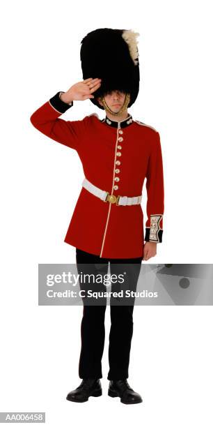 welsh grenadier guard - bearskin hat stock pictures, royalty-free photos & images