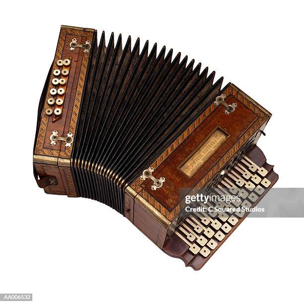 accordion - bandoneon bildbanksfoton och bilder