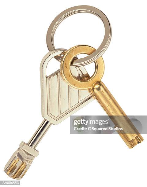 keys on a key ring - key ring isolated stockfoto's en -beelden