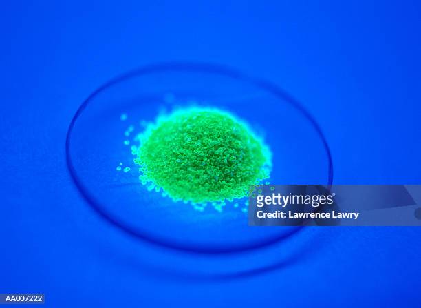 yellow powder on a lens - len lawrence stock pictures, royalty-free photos & images