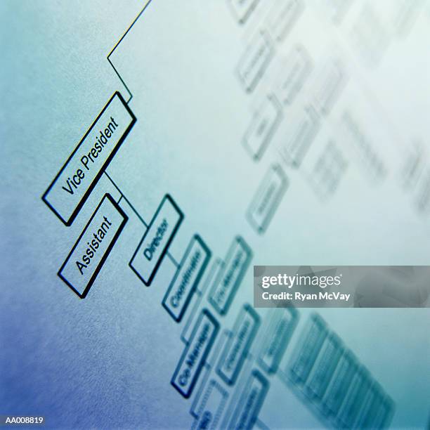 detail of an organizational chart - corporate hierarchy stock pictures, royalty-free photos & images