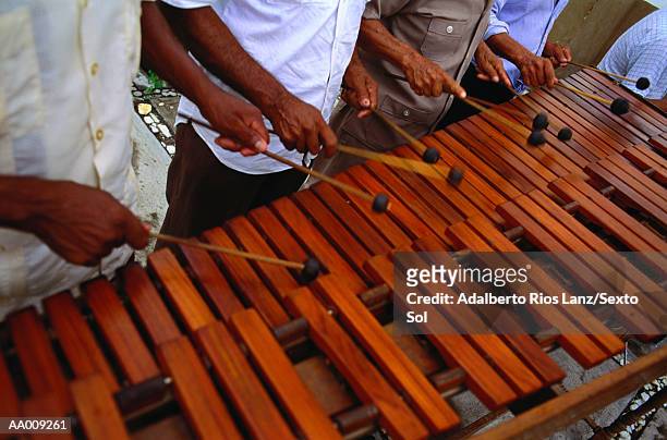 musicians playing a xylophone - percussion mallet photos et images de collection