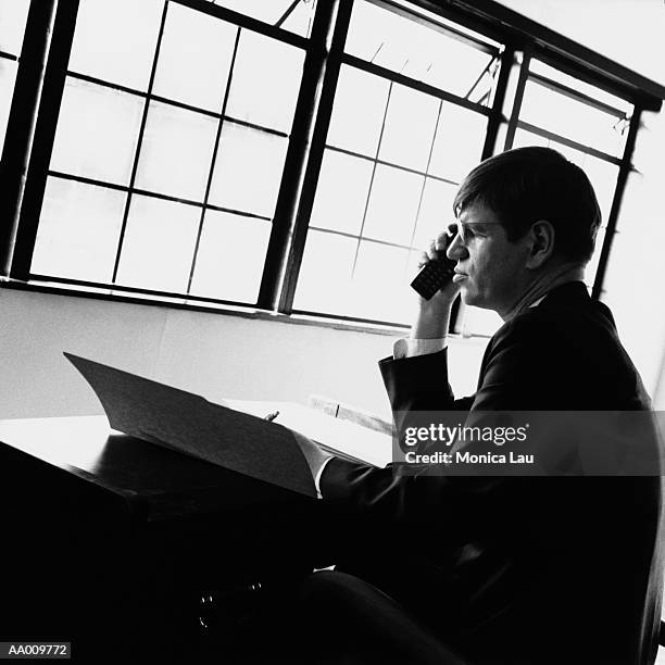 businessman talking on cellular phone - monica askew stock pictures, royalty-free photos & images