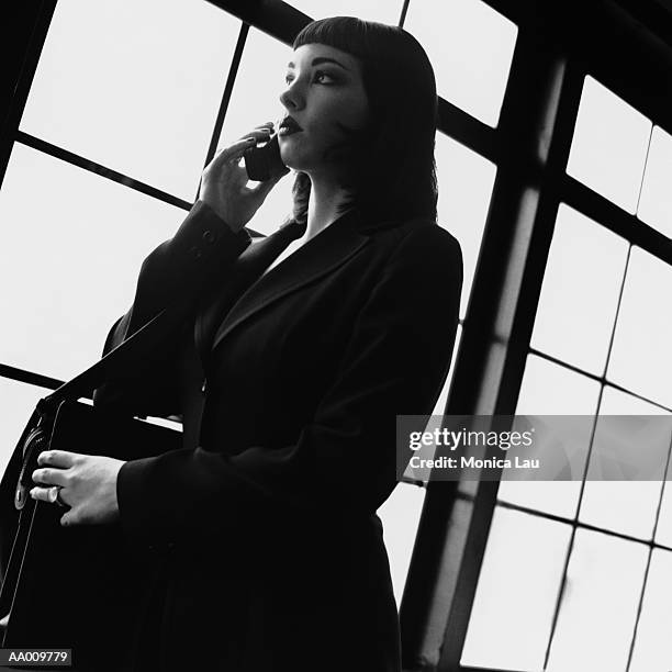businesswoman talking on a cellular phone - monica askew stock pictures, royalty-free photos & images