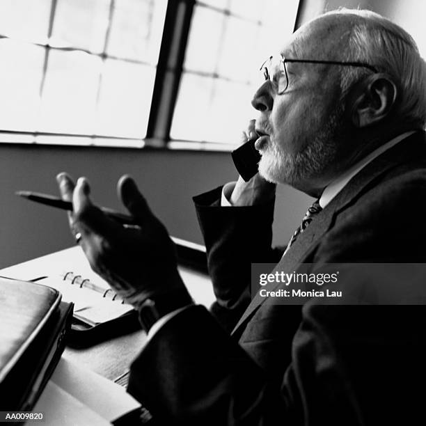 businessman talking on a telephone - monica askew stock pictures, royalty-free photos & images