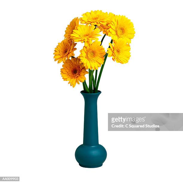 marigolds in a vase - corn marigold stock pictures, royalty-free photos & images