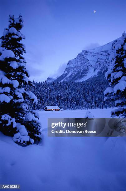 lodge at lake louise in canada - lake louise 個照片及圖片檔