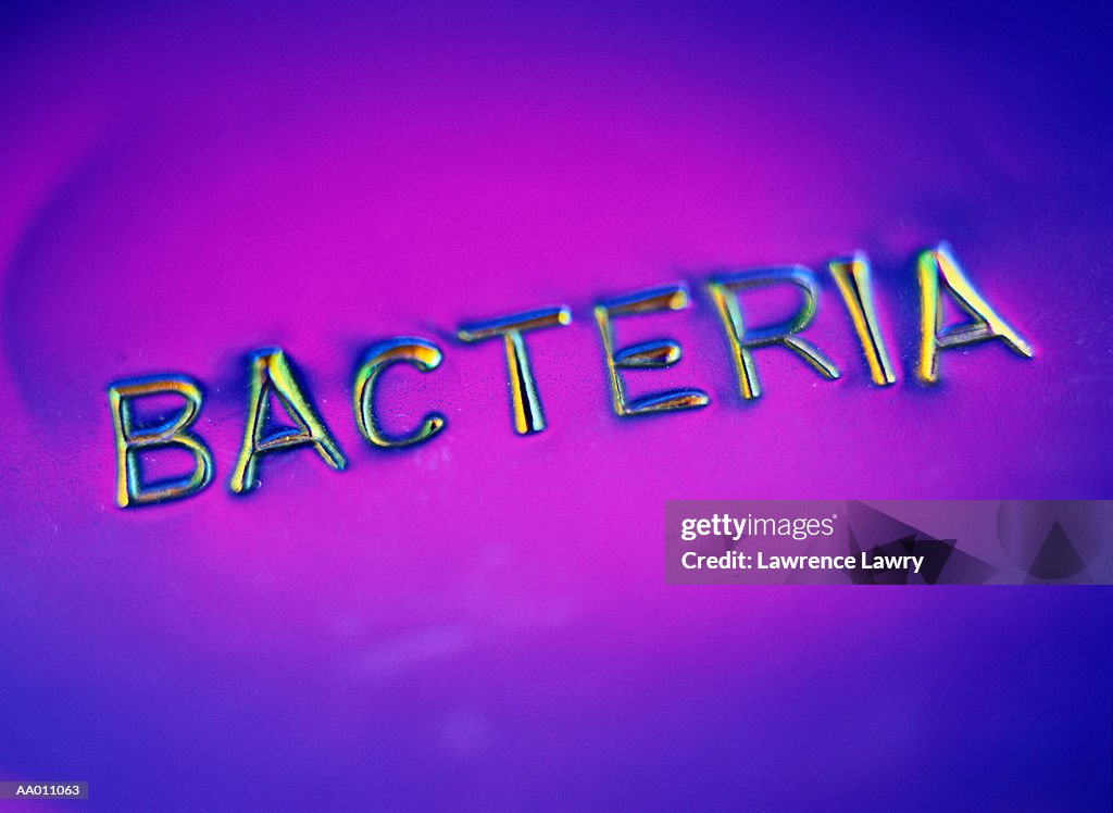 The Word Bacteria