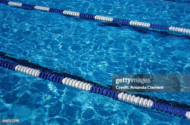 lanes in a swimming pool - amanda lane stock pictures, royalty-free photos & images