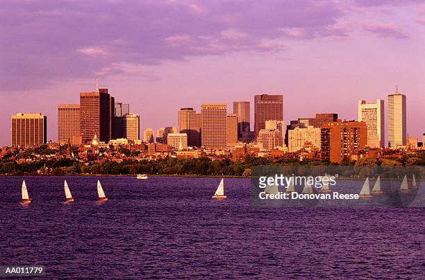 sailboats on massachusetts bay in boston - baia del massachusetts foto e immagini stock