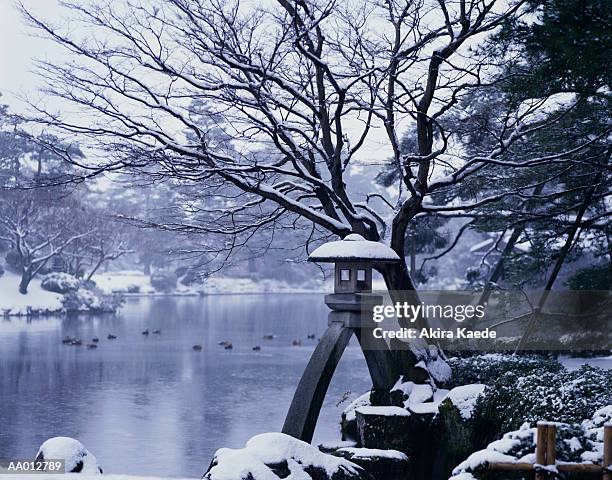 garden of snow - japan winter stock pictures, royalty-free photos & images