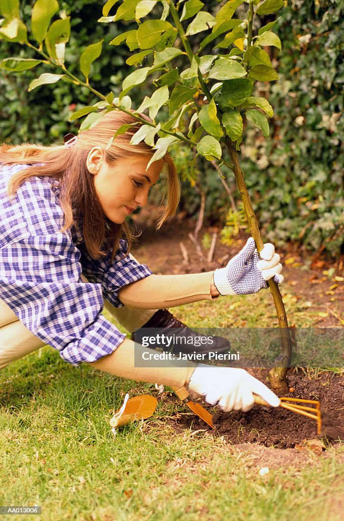 Woman Planting a Tree