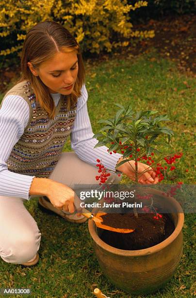 woman planting a plant in a flower pot - pot plant stock pictures, royalty-free photos & images