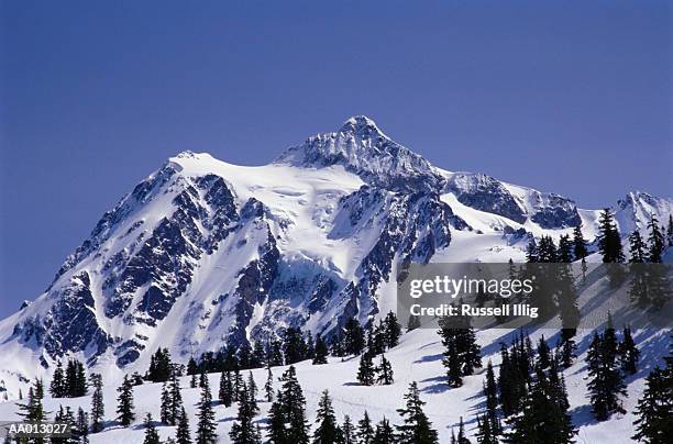 mt. shuksan - mt shuksan 個照片及圖片檔