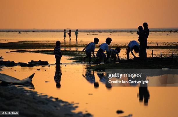 children playing at sunset in lombok - street child stock pictures, royalty-free photos & images